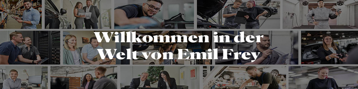 EF Logistik GmbH cover